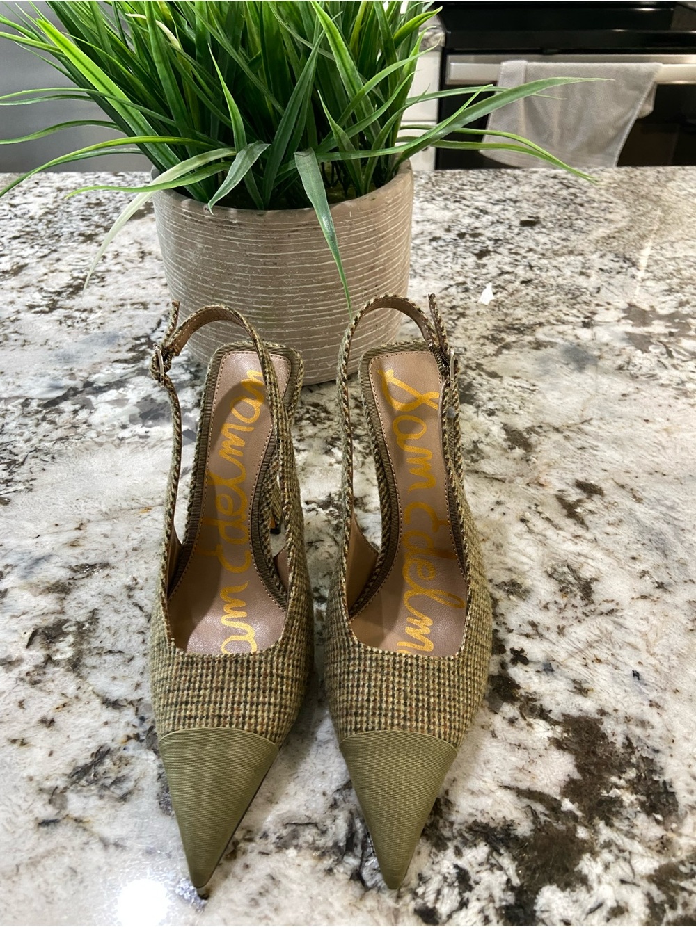 Sam Edelman Olive Pointed Slingback Heels